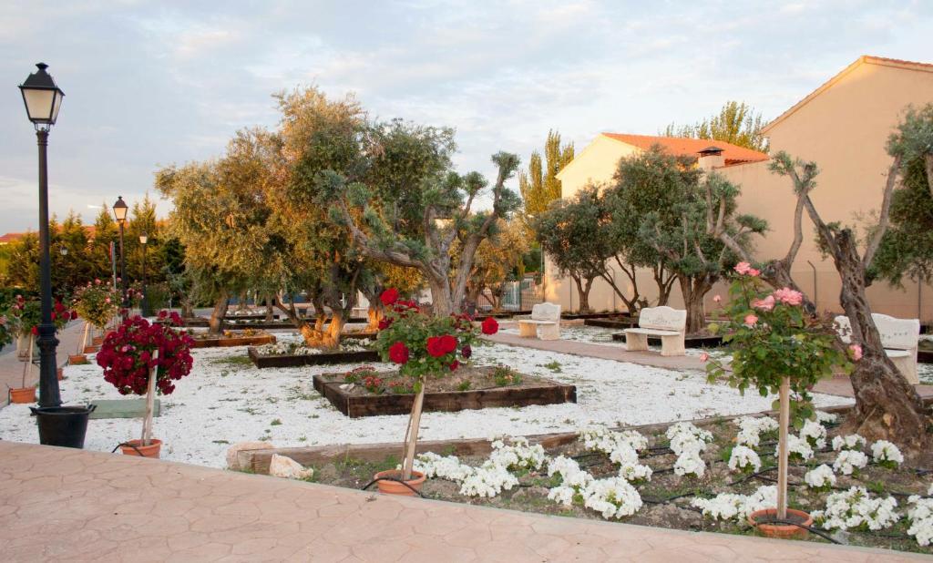 Las Olivas- Borox Lejlighedshotel Seseña Nuevo Eksteriør billede
